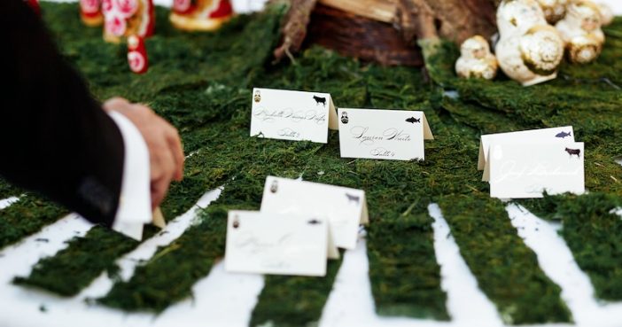 {{brizy_dc_image_alt entityId=